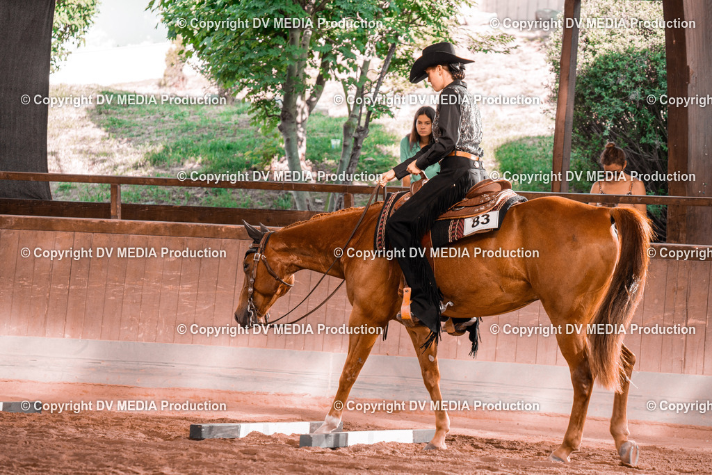 NE300160 | dv-media-shop - Realisiert mit Pictrs.com