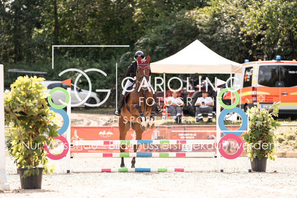 DSC02379 | Carolin Gieschke