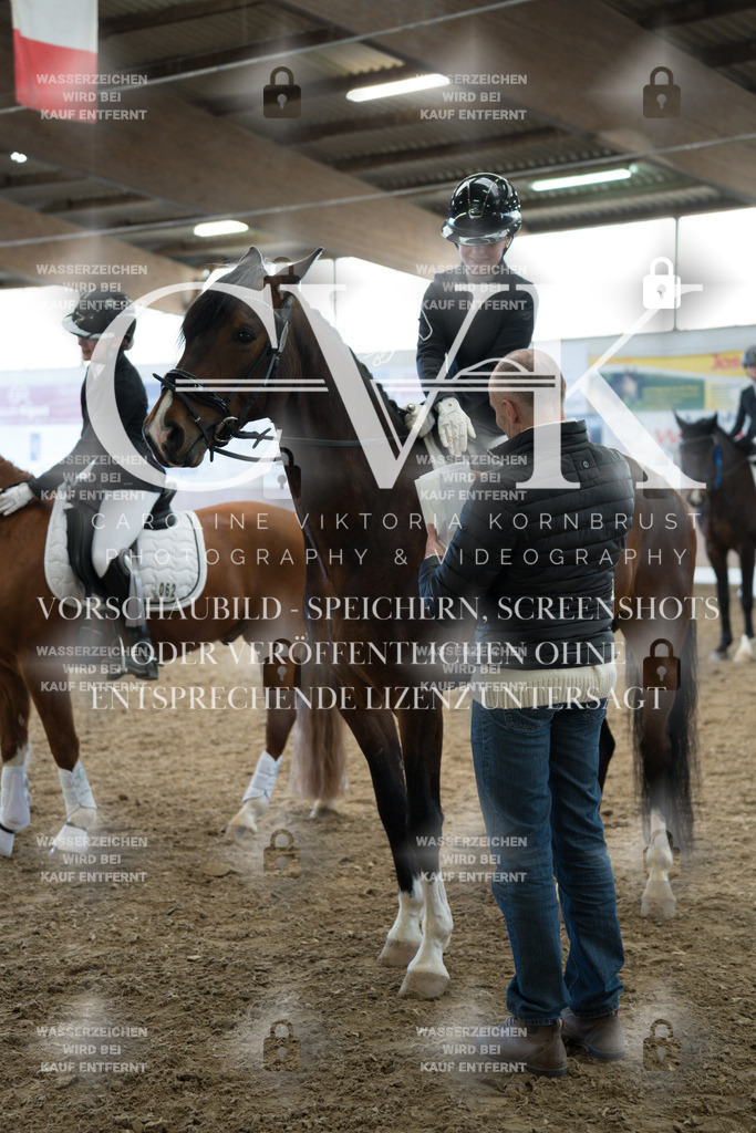 CK703053 | Turnierfotografie Pferdefotografie Trier Rheinland-Pfalz Pferdesport Reitsport Tierfotografie Sportfotografie Pferdevideo Pferdevideografie Equestrianvideography equestrianphotography  - Realized with Pictrs.com