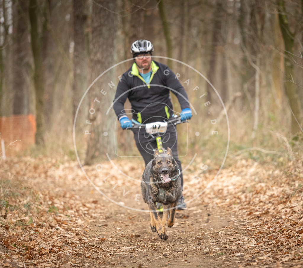 Pfotenfotografie_DV3A7400 | Hundefotografie, Tierfotograf, Pfotenfotografie, Fotoshooting Hund, Hunde Portrait, Hundesport, Hundeportraits, Heideshooting, Hunde, Sportfotograf, Hundefotograf, Turnierhundsport, THS,  - Realisiert mit Pictrs.com