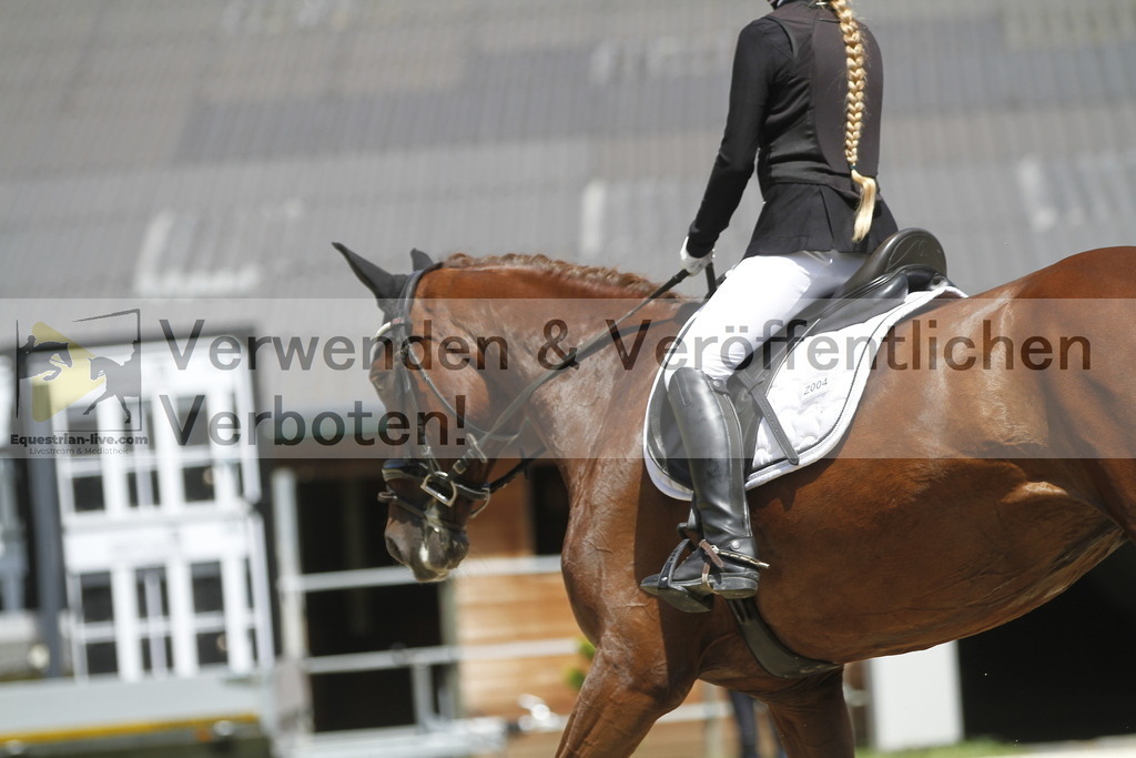 _MG_0941 | equestrian-live-com