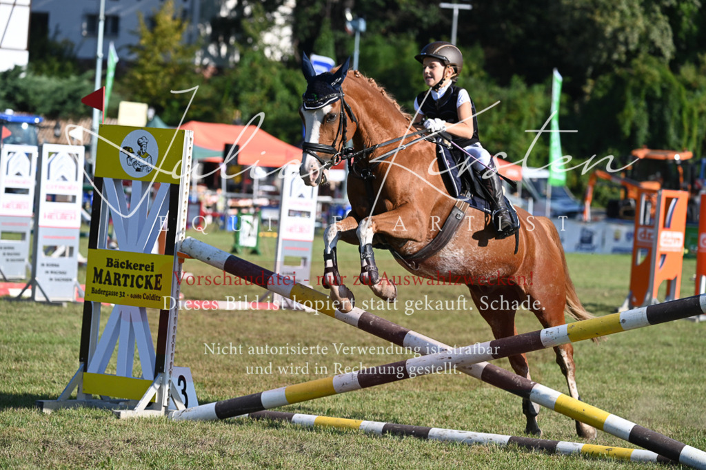 DSC_4958 | Pferde- und Turnierfotografie in Westsachsen. Pferdeportraits, Auftragszeichnungen und intuitive Kunst.