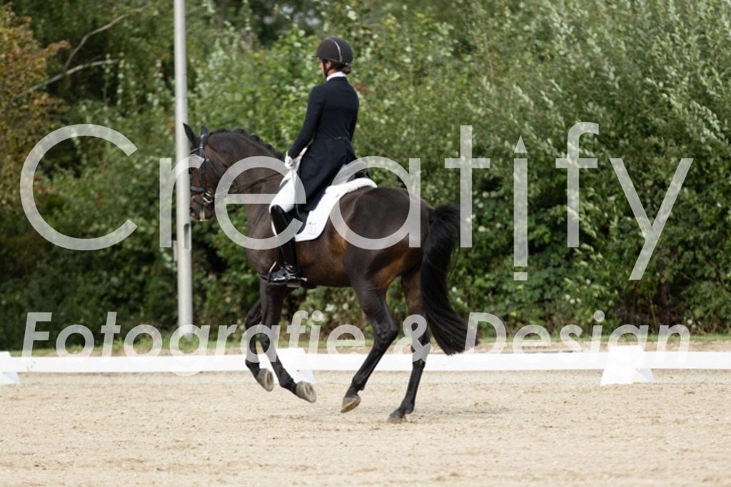 IMG_6707 | Creatify Fotografie