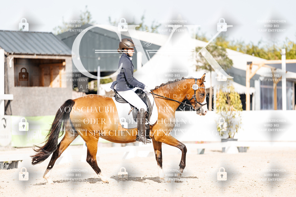 CK905383 | Turnierfotografie Pferdefotografie Trier Rheinland-Pfalz Pferdesport Reitsport Tierfotografie Sportfotografie Pferdevideo Pferdevideografie Equestrianvideography equestrianphotography  - Realisiert mit Pictrs.com