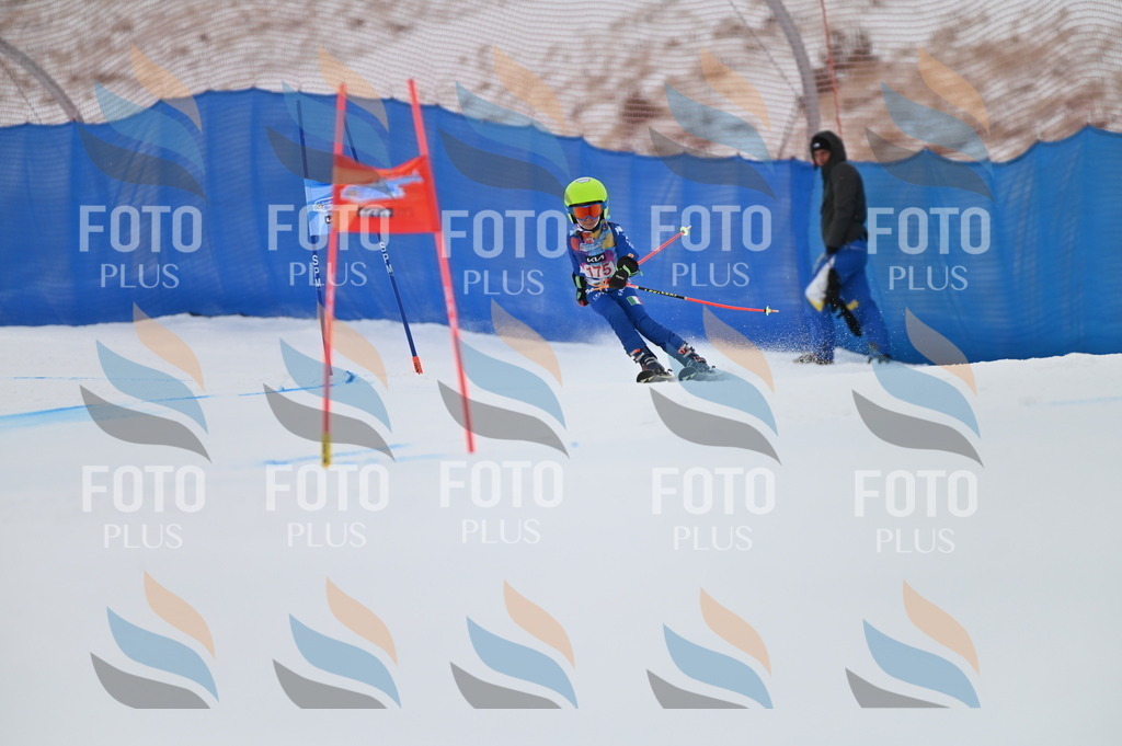 BGV_0804 | holidayphoto