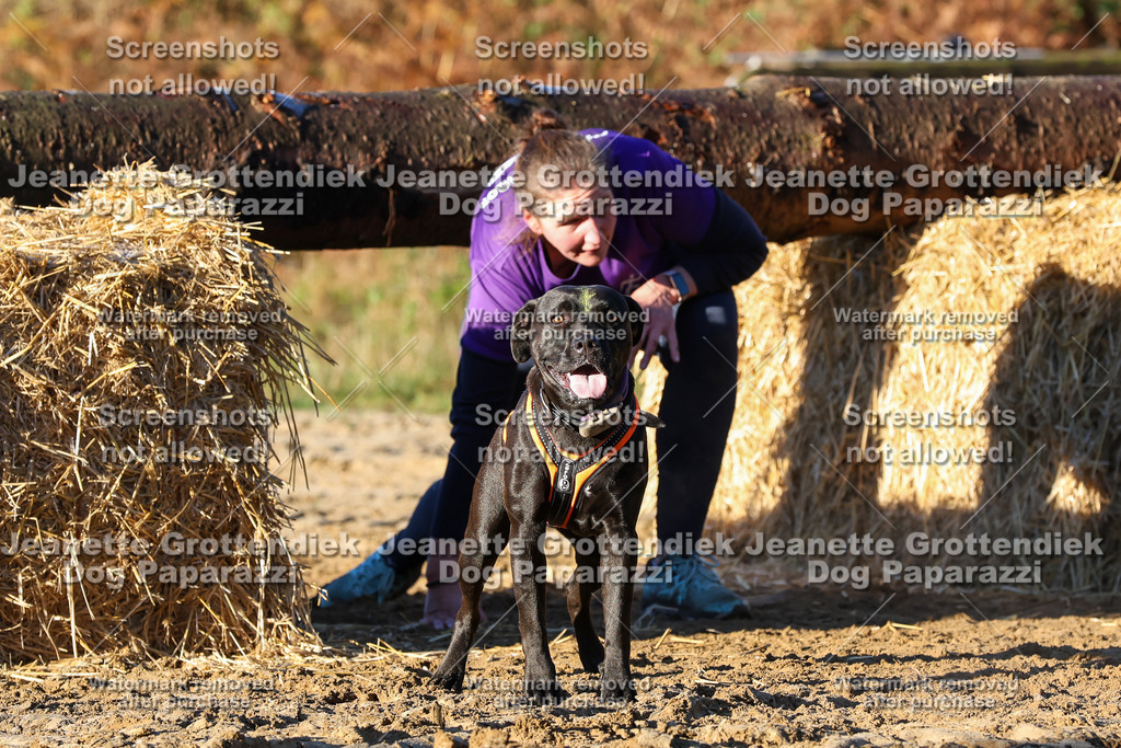 Dog Paparazzi - Strongdog 10-25-1067 | Dog Paparazzi Jeanette Grottendiek Fotografie & Videografie - Realisiert mit Pictrs.com