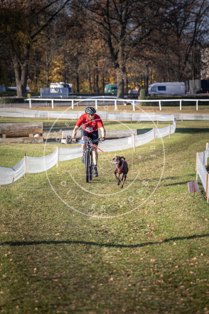 CaniXpix_DV3A2979 | Hundefotografie, Tierfotograf, Pfotenfotografie, Fotoshooting Hund, Hunde Portrait, Hundesport, Hundeportraits, Heideshooting, Hunde, Sportfotograf, Hundefotograf, Turnierhundsport, THS,  - Realisiert mit Pictrs.com