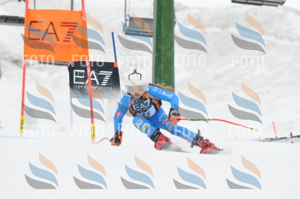 DSC_8758 | holidayphoto