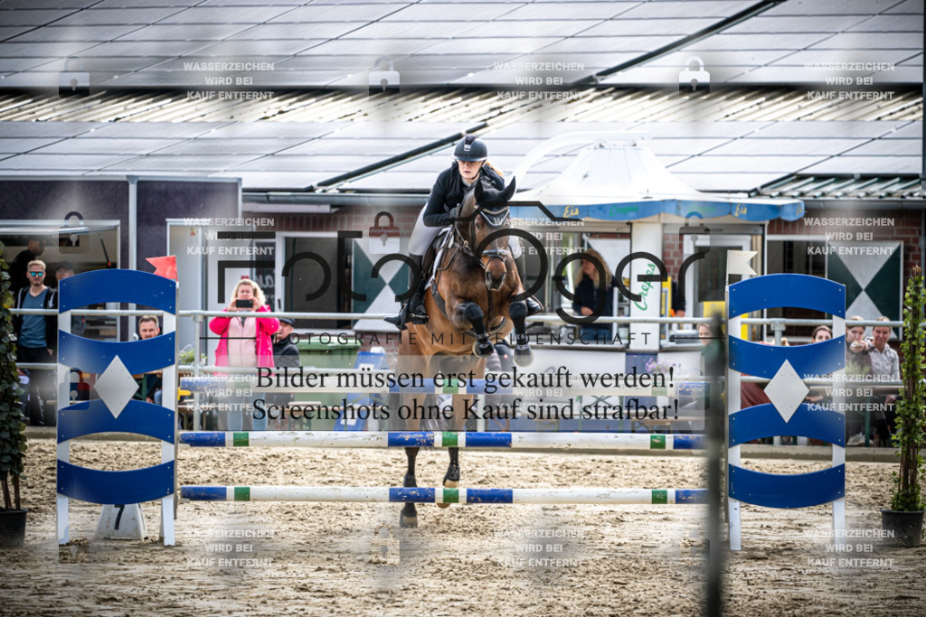 DOS_2594 | Reitturnier Lüdinghausen - Realisiert mit Pictrs.com