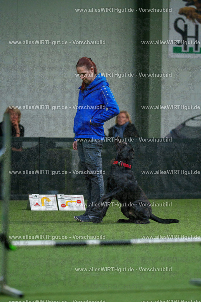 7R504139 | Professionelle Tierfotografie in Mönchengladbach von Daniel Wirth (allesWIRTHgut). Liebevolle & natürliche Bilder von Hunden & Katzen für unvergessliche Erinnerungen.