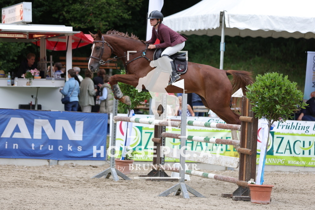 0P6A3426 | Willkommen bei Brunnmayr - Design & Fotografie – Ihrem Spezialisten für Reitturniere und Pferdeveranstaltungen in Oberösterreich, Salzburg und Bayern! Seit über 17 Jahren sind wir leidenschaftlich dabei.