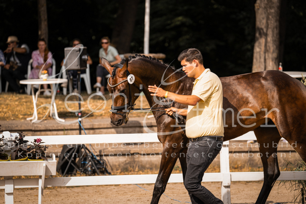 FrER00198 | Leoni Ertmer Photography - Realisiert mit Pictrs.com