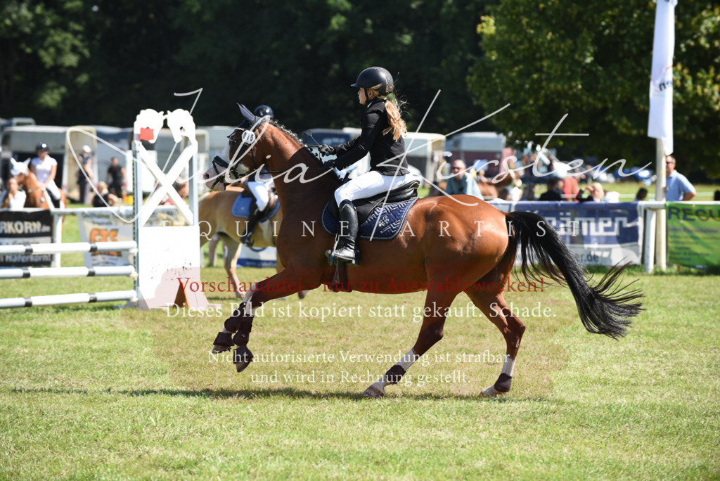 DSC_9613 | Pferde- und Turnierfotografie in Westsachsen. Pferdeportraits, Auftragszeichnungen und intuitive Kunst.