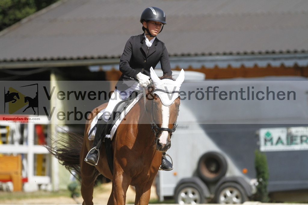 _MG_0664 | equestrian-live-com