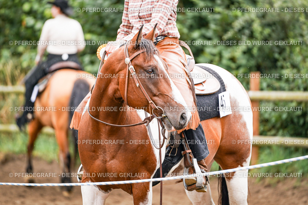 DSC04307 | Pferdegrafie