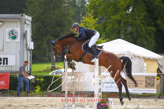 DKP43741 | Turniersportfotografie; Pferdefotografie; Dressurfotografie