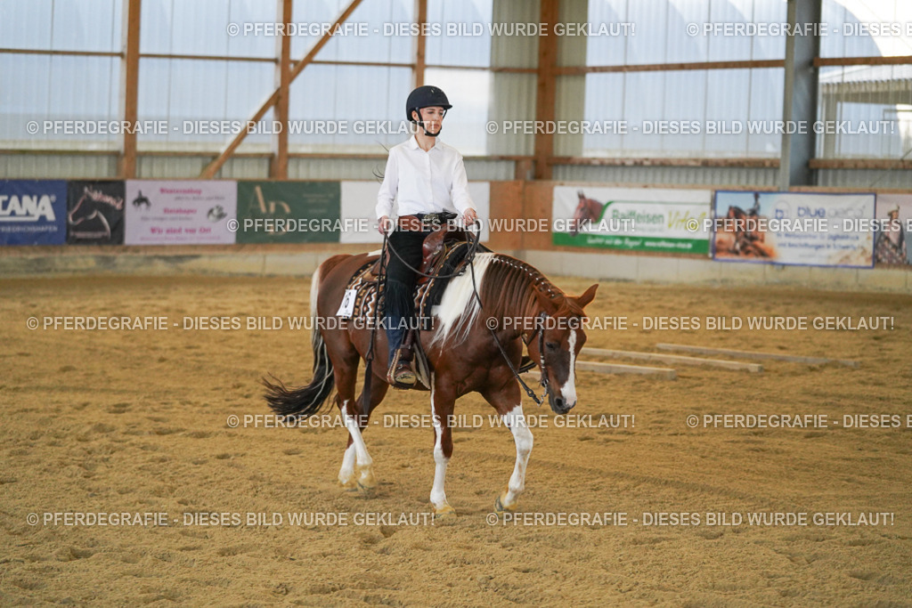 DSC09048 | Pferdegrafie