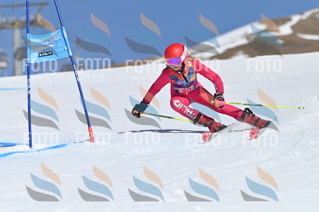 BGV_8354 | holidayphoto