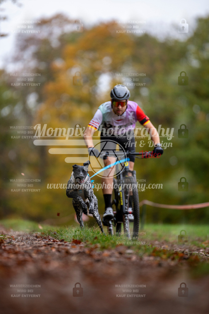 DBT_DAKM_SA_4_11_2023_Bike-7 | PayLife