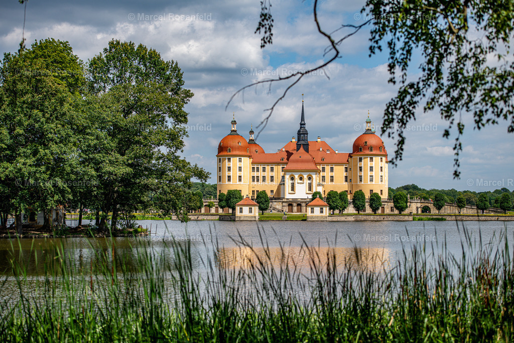 _DSC5602 | foto-rosenfeld