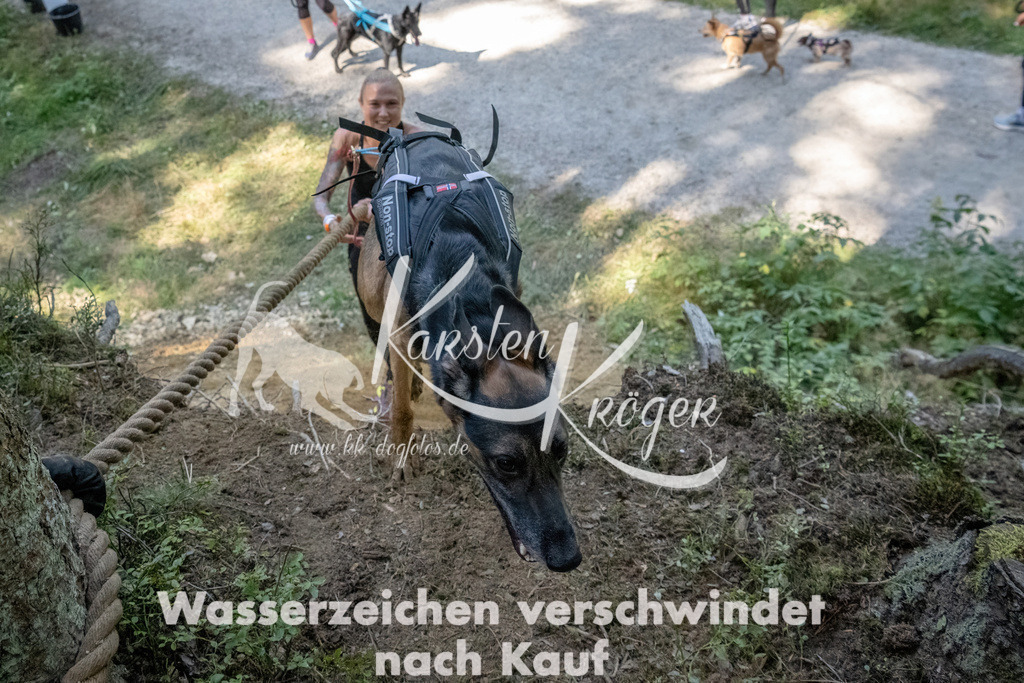 1220_ZZ93985 | kk-dogfotos