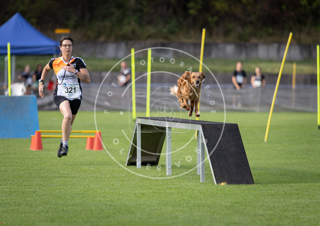 Pfotenfotografie_DV3A2966 | Hundefotografie, Tierfotograf, Pfotenfotografie, Fotoshooting Hund, Hunde Portrait, Hundesport, Hundeportraits, Heideshooting, Hunde, Sportfotograf, Hundefotograf, Turnierhundsport, THS,  - Realisiert mit Pictrs.com