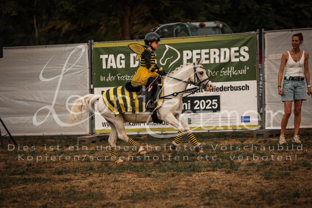 SaShow00083 | Leoni Ertmer Photography - Realisiert mit Pictrs.com