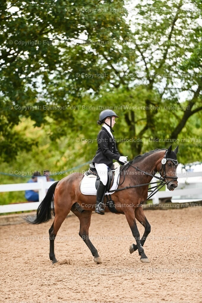 20230716_10-2_Reiter-WB Schritt - Trab - Galopp_0123 | equistock