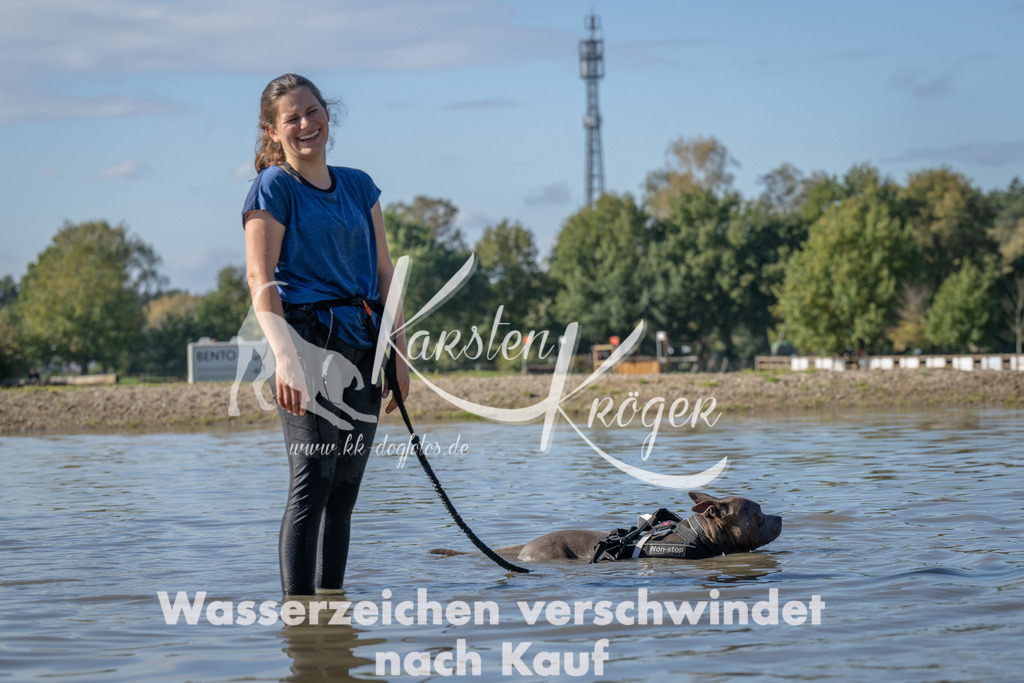 1332_ZZ90790 | kk-dogfotos