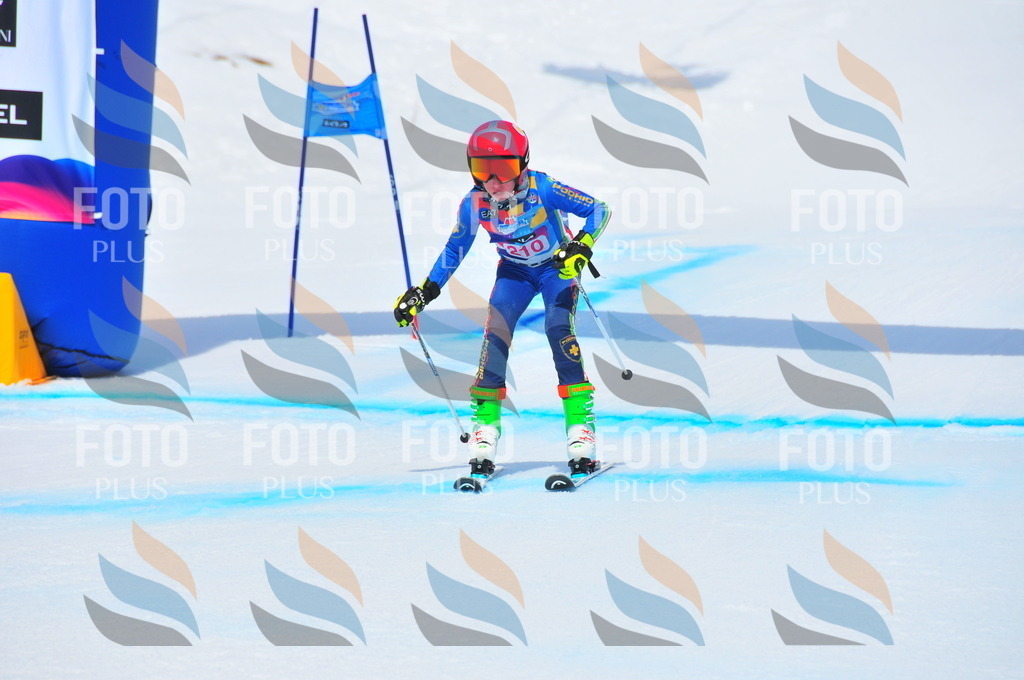 DSC_5667 | holidayphoto