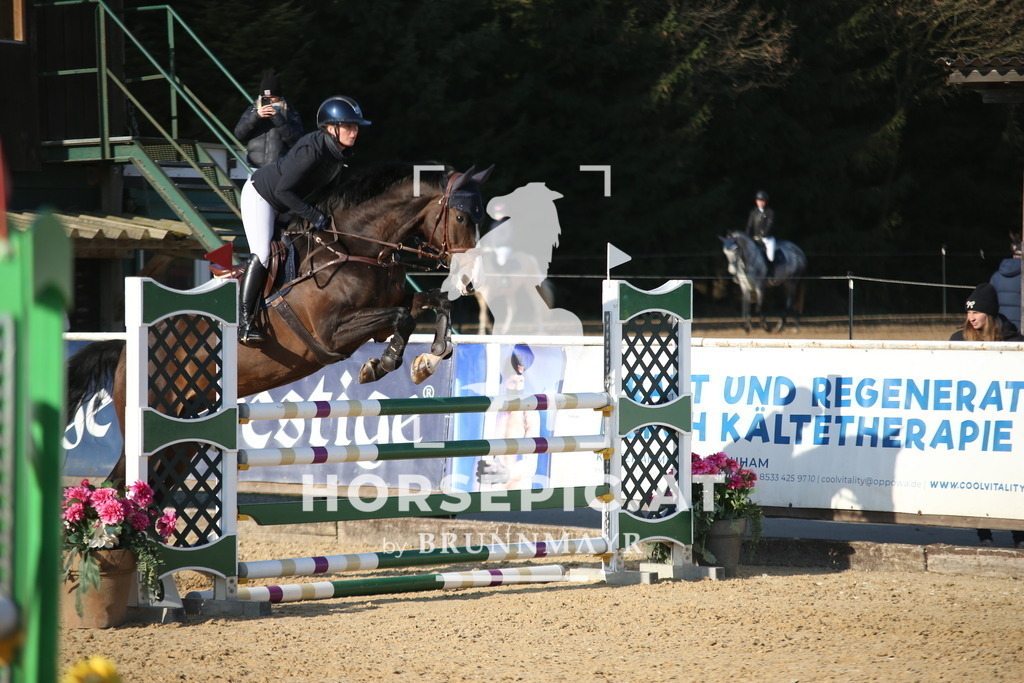 AS8V2620 | Willkommen bei Brunnmayr - Design & Fotografie – Ihrem Spezialisten für Reitturniere und Pferdeveranstaltungen in Oberösterreich, Salzburg und Bayern! Seit über 17 Jahren sind wir leidenschaftlich dabei.