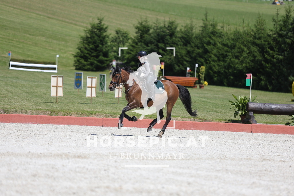 0P6A4993 | Willkommen bei Brunnmayr - Design & Fotografie – Ihrem Spezialisten für Reitturniere und Pferdeveranstaltungen in Oberösterreich, Salzburg und Bayern! Seit über 17 Jahren sind wir leidenschaftlich dabei.