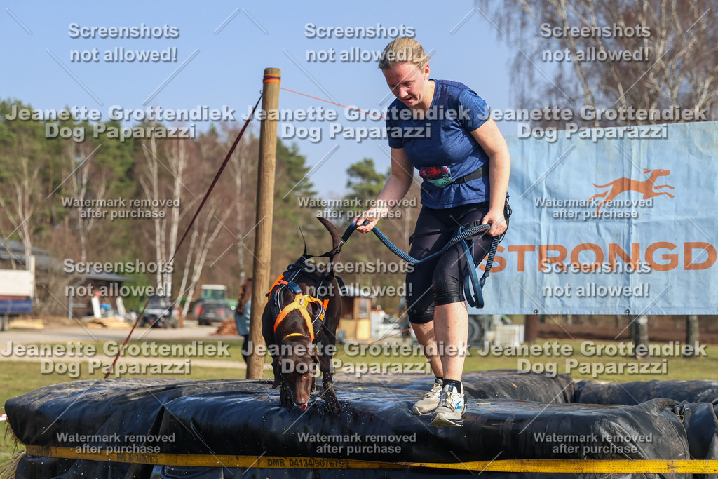 Dog Paparazzi - Strongdog North Mrz26-2576 | Dog Paparazzi Jeanette Grottendiek Fotografie & Videografie - Realisiert mit Pictrs.com