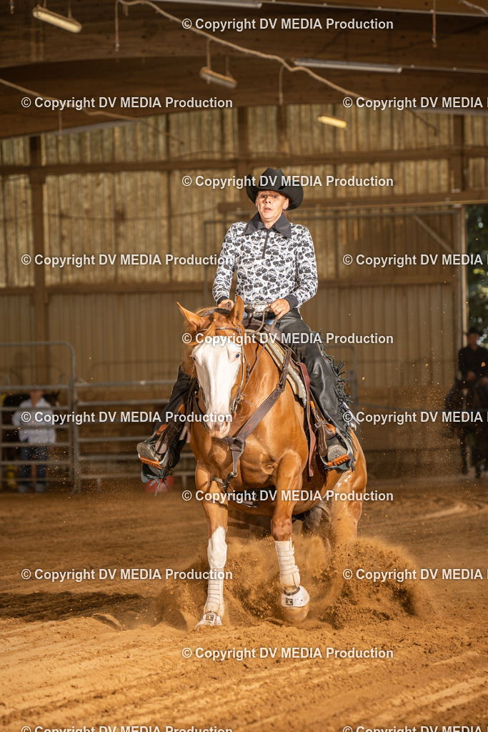 NID03856 | dv-media-shop - Realisiert mit Pictrs.com