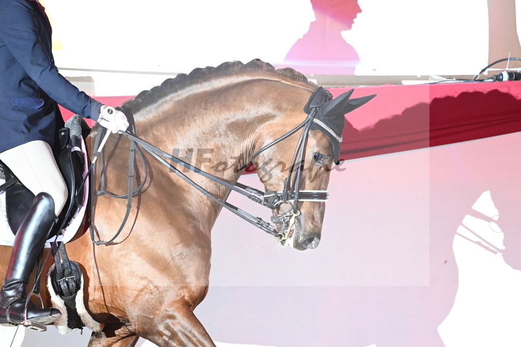 Don Royal_2241782 | hf-fotografie - Realisiert mit Pictrs.com