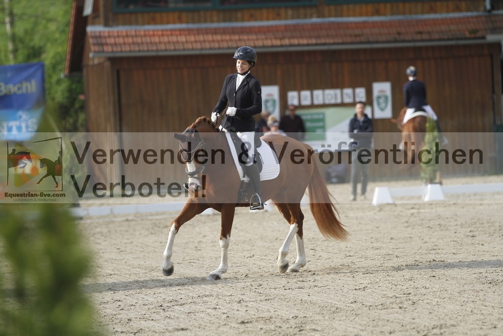 _MG_5811 | equestrian-live-com