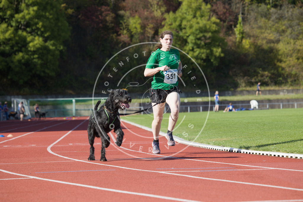 0L8A9630 | Hundefotografie, Tierfotograf, Pfotenfotografie, Fotoshooting Hund, Hunde Portrait, Hundesport, Hundeportraits, Heideshooting, Hunde, Sportfotograf, Hundefotograf, Turnierhundsport, THS,  - Realisiert mit Pictrs.com