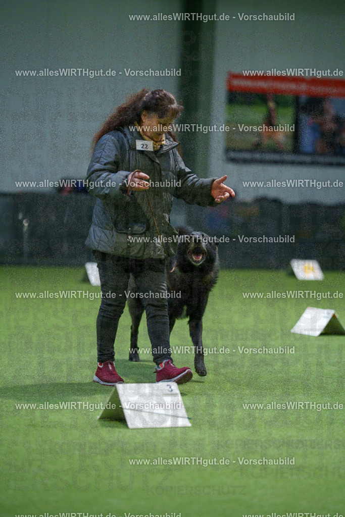 7R500041 | Professionelle Tierfotografie in Mönchengladbach von Daniel Wirth (allesWIRTHgut). Liebevolle & natürliche Bilder von Hunden & Katzen für unvergessliche Erinnerungen.