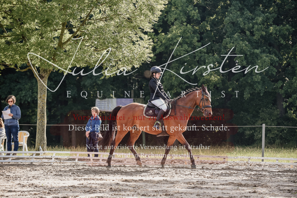 DSC_8507 | Pferde- und Turnierfotografie in Westsachsen. Pferdeportraits, Auftragszeichnungen und intuitive Kunst.