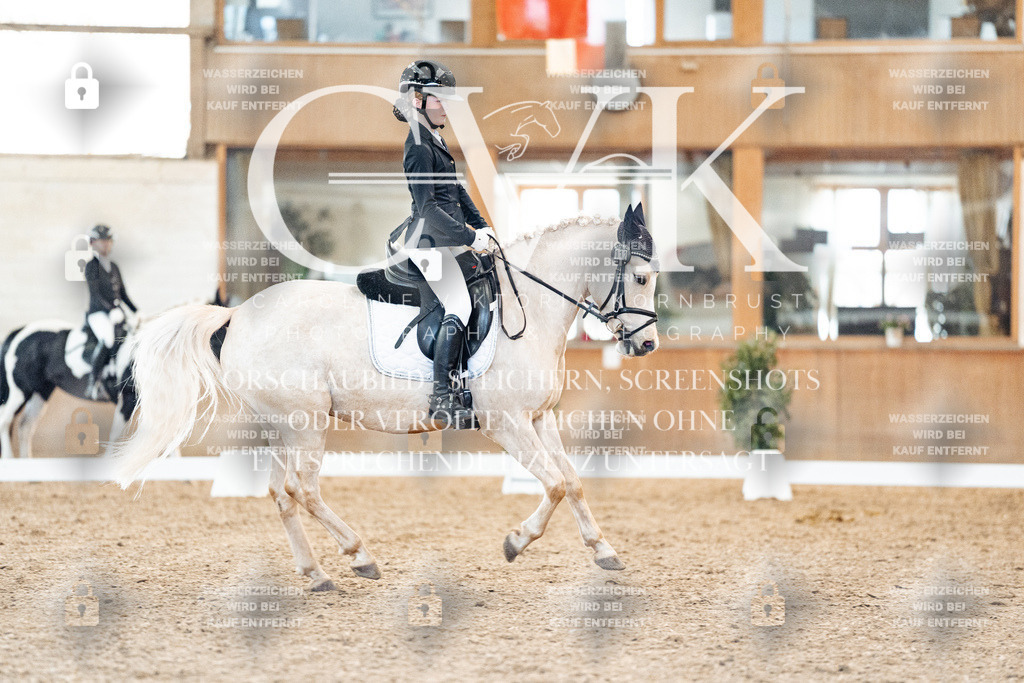CK907525 | Turnierfotografie Pferdefotografie Trier Rheinland-Pfalz Pferdesport Reitsport Tierfotografie Sportfotografie Pferdevideo Pferdevideografie Equestrianvideography equestrianphotography  - Realisiert mit Pictrs.com