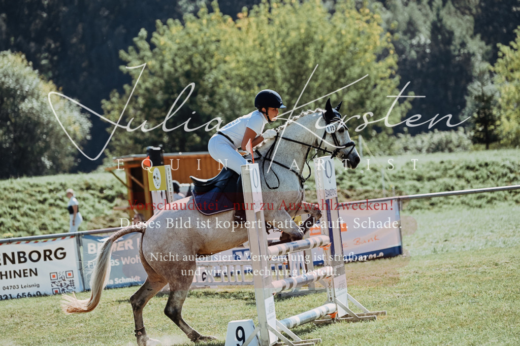 DSC_6128 | Pferde- und Turnierfotografie in Westsachsen. Pferdeportraits, Auftragszeichnungen und intuitive Kunst.