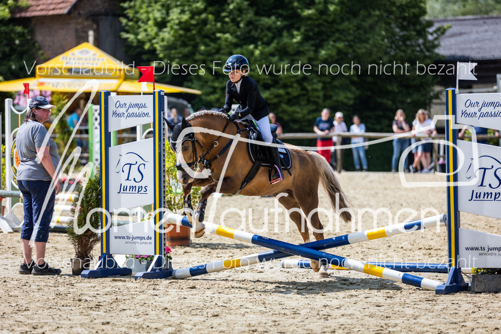 Donop24-SprRW-011 | MomenTaufnahmen Pferdesportfotos