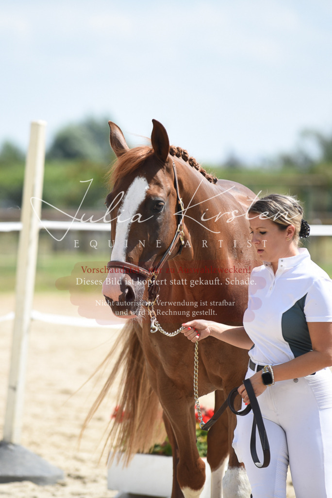 DSC_8971 | Pferde- und Turnierfotografie in Westsachsen. Pferdeportraits, Auftragszeichnungen und intuitive Kunst.