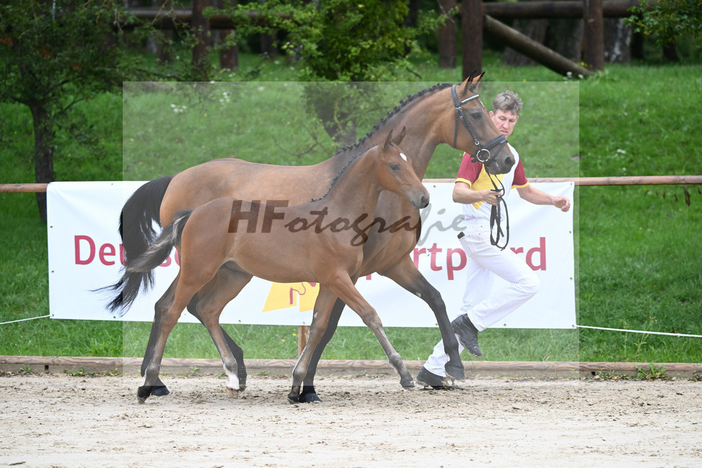 Kat-Nr. 8 HF Cellestial_Joas_25230096 | hf-fotografie - Realisiert mit Pictrs.com