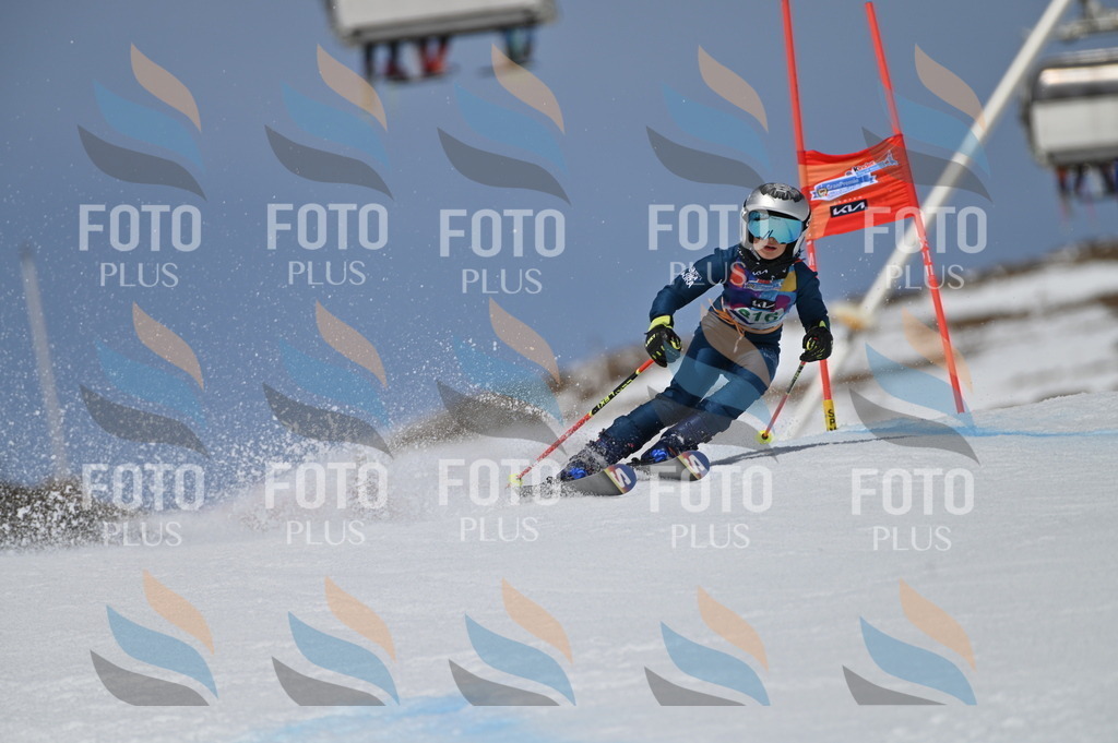 BGV_6236 | holidayphoto