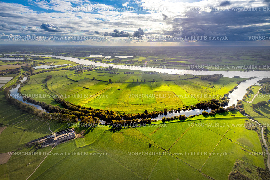 Rees241010406GriethetorterAltrhein | Luftbild,Grietherorter Altrhein Landschaftsschutzgebiet im Gegenlicht, grüne Wiesen und Fernsicht mit Wolken, Bienen, Rees, Niederrhein, Nordrhein-Westfalen, Deutschland