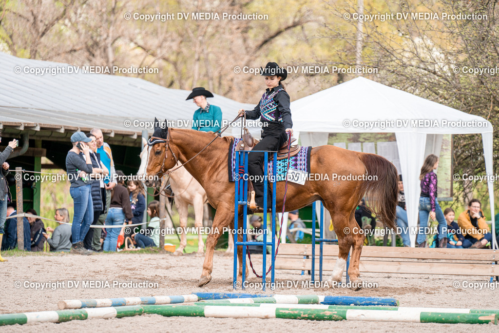 BAL02588 | dv-media-shop - Realisiert mit Pictrs.com