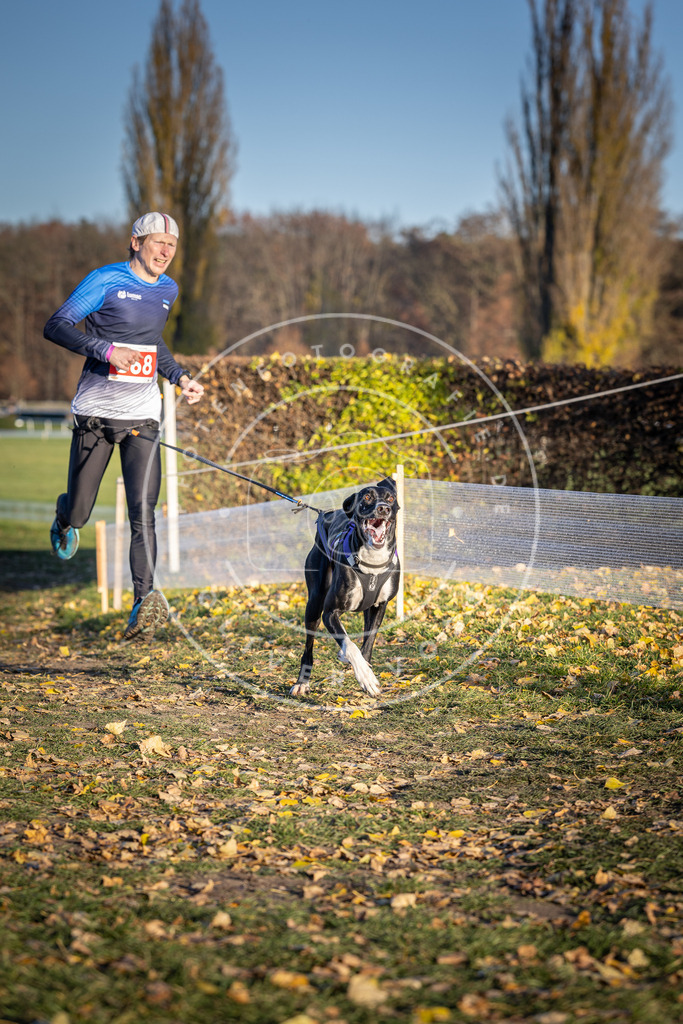 CaniXpix_DV3A4130 | Hundefotografie, Tierfotograf, Pfotenfotografie, Fotoshooting Hund, Hunde Portrait, Hundesport, Hundeportraits, Heideshooting, Hunde, Sportfotograf, Hundefotograf, Turnierhundsport, THS,  - Realisiert mit Pictrs.com
