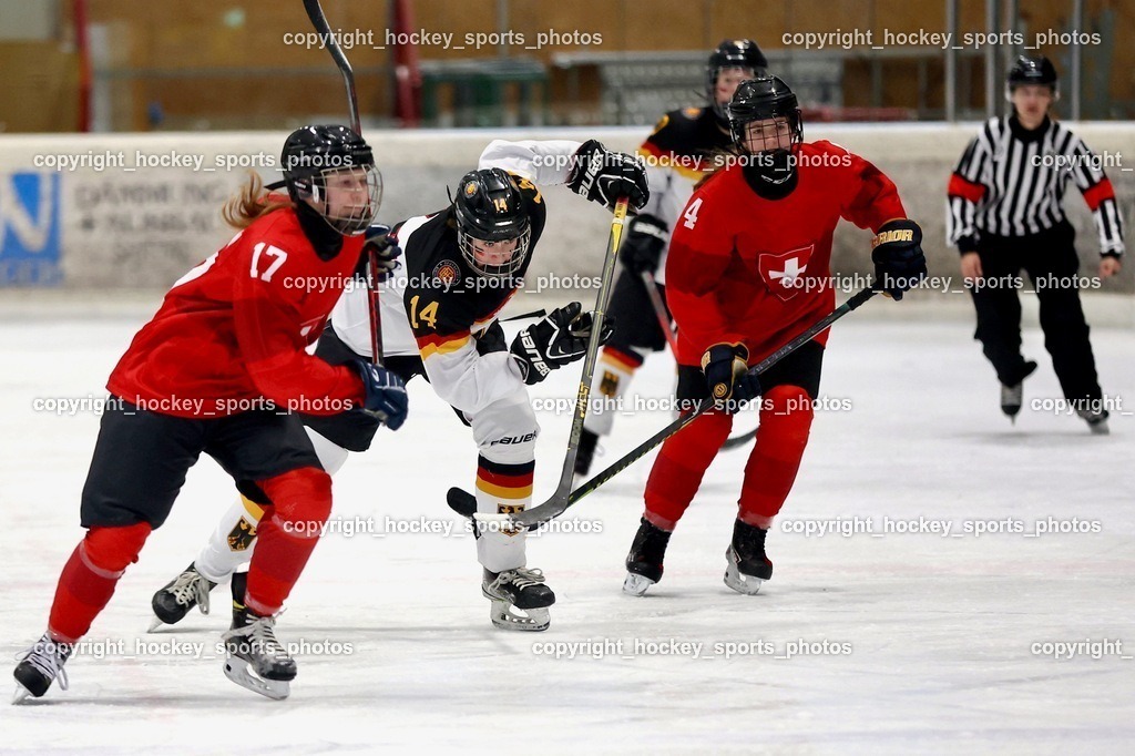 MOWE2185 | hockey sports photos, Pressefotos, Sportfotos, hockey247, win 2day icehockeyleague, Handball Austria, Floorball Austria, ÖVV, Kärntner Eishockeyverband, KEHV, KFV, Kärntner Fussballverband, Österreichischer Volleyballverband, Alps Hockey League, ÖFB, 