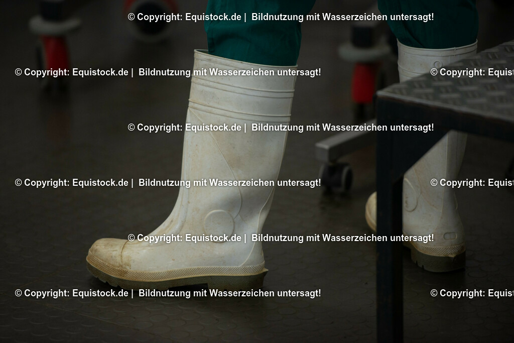 20191022_Kolik_OP_0005 | equistock